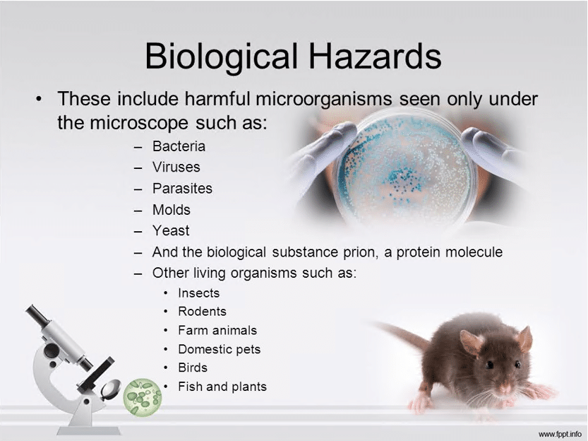 case study on biological hazards