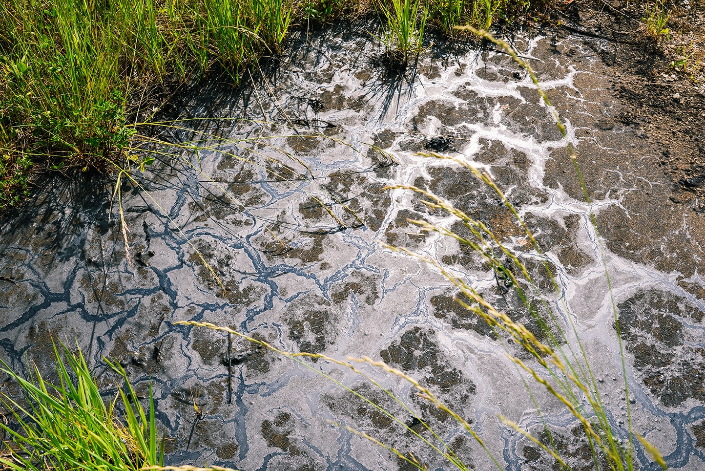 Proactive and Prepared: Rapid Response Industrial Group’s Approach to Environmental Spills