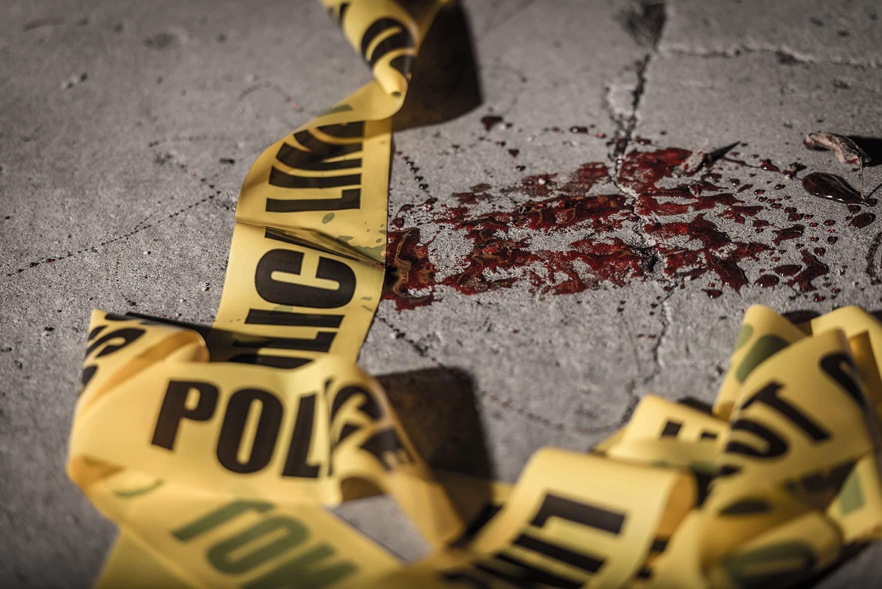 The Vital Role of Professional Crime Scene and Trauma Cleanup Services